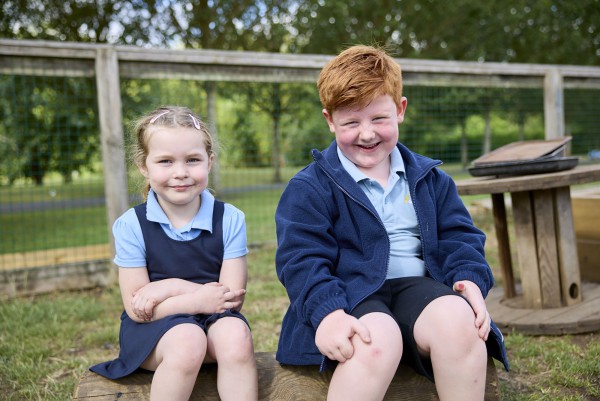 Another Article Image